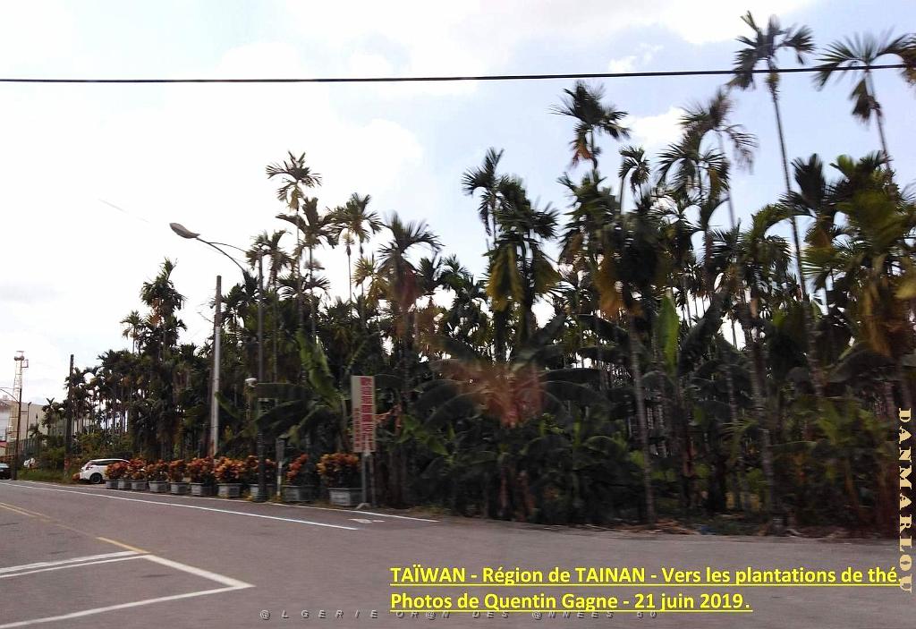 02 Taiwan- Region de Tainan 002.jpg